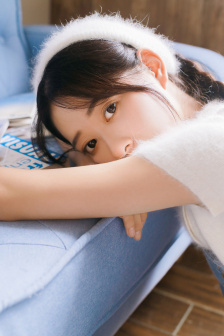 金瓶风月